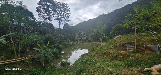 4.36 acres mix fruit farm come with bungalow house at Jelapang, Ipoh 3