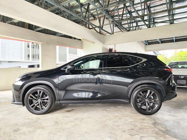 2023 Lexus NX250 2.5 VERSION L (A) GRADE 4.5B - 5