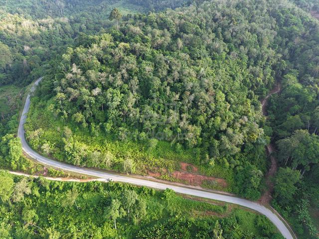 3.8 Ekar Tepi Jalan Ulu Dong Raub (BERBUKIT+VIEW CANTIK+INFRA MUDAH) 3