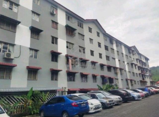 flat teratai 1
