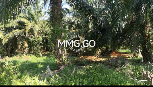 2.85 acres Jalan Rawang Kuala selangor Agriculture land for sale 🌱🌱 1