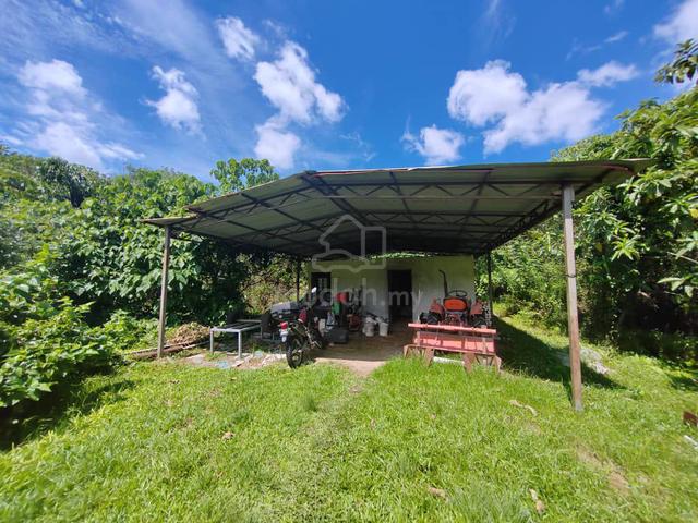 MustBuy Balik Pulau land for sale penang island flat agricutural 1