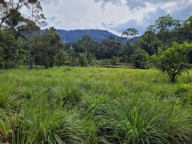 Tanah Kebun 2.5 ekar di Sg. Congkak, H. Langat 1