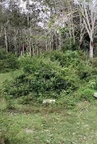 Tanah 1 Ekar Tepi Sungai Ada Akses Jalan 1