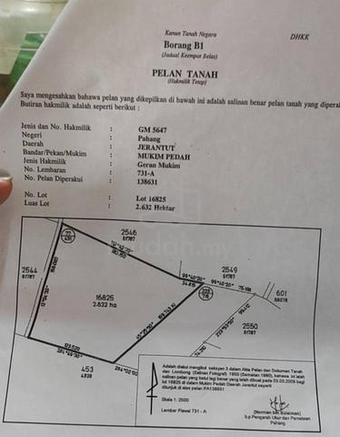 Pahang Jerantut Mukim Pedah Agricultural Land Free Hold 1
