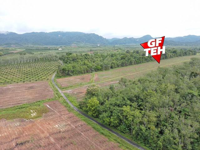  7.67 Acre Flat Agricultural Land  Padang Besar | Perlis  1