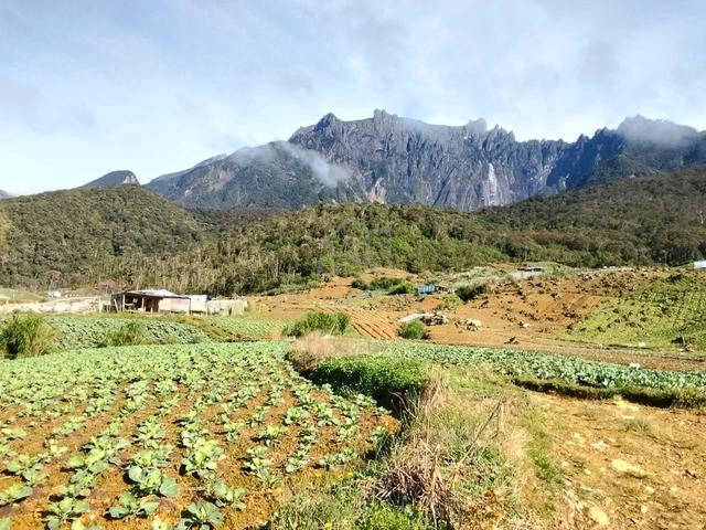 For Sale | Ulu Mentoki Kundasang, Ranau| 1.2 Acres | Freehold 1
