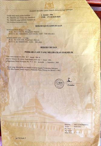 2.6 Ekar Tanah Sawit Muda Jasin Mukim Rim (Ada Jalan) 1