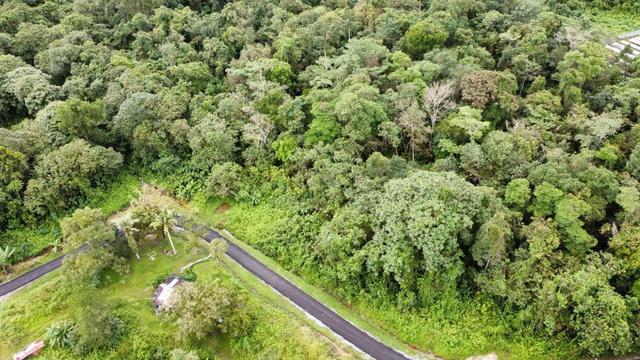 Sungai Moyan Land For Sale 1