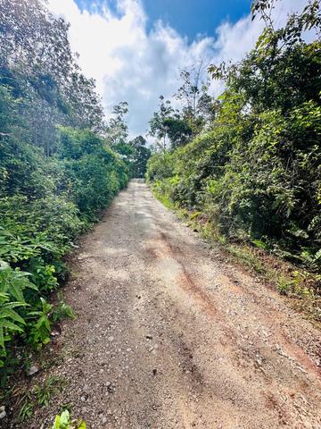 TANAH KEBUN 4.2 EKAR TANAM DURIAN DAN POKOK BUAH / Nyalas jasin Melaka 5
