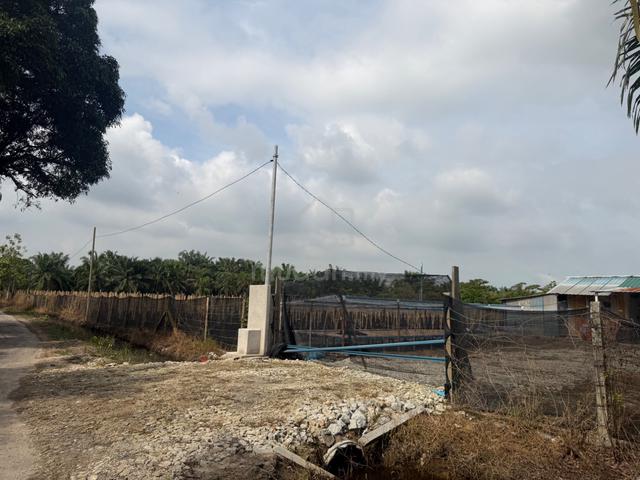 Freehold Agriculture Land Bukit Rotan Jalan Permatang Tengah 1