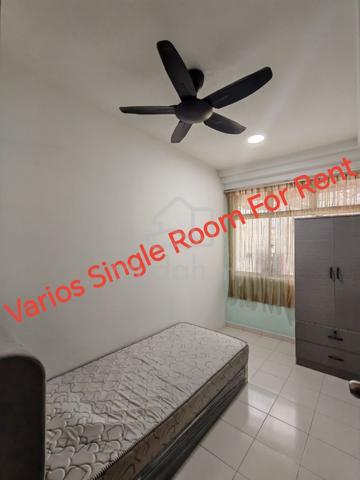 Various Single Room For Rent🔥 1