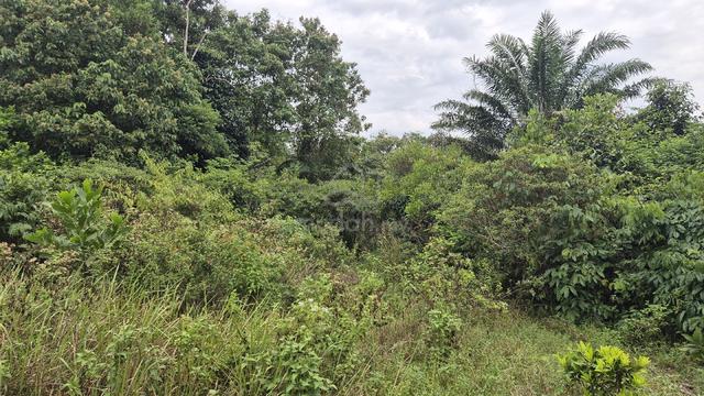 2.57 Acres LAND FOR SALE β SEMATAN | NEAR BEACH + ROAD ACCESS ππ΄ 1