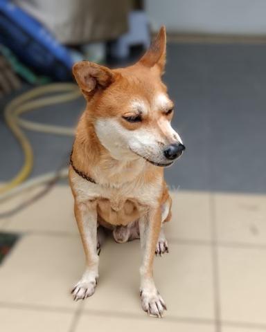 Carousel Image