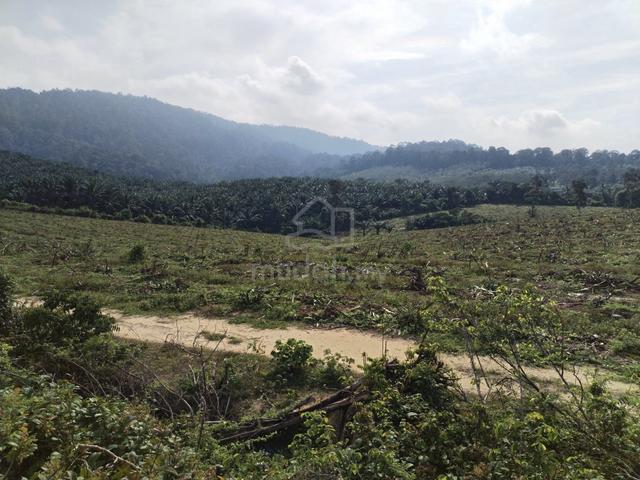 Tanah Freehold NonBumi Kg Jus, Jasin 1