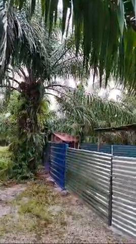 1.5 Acre Agri Land + 3.5-Storey Building Tanjong Karang 1