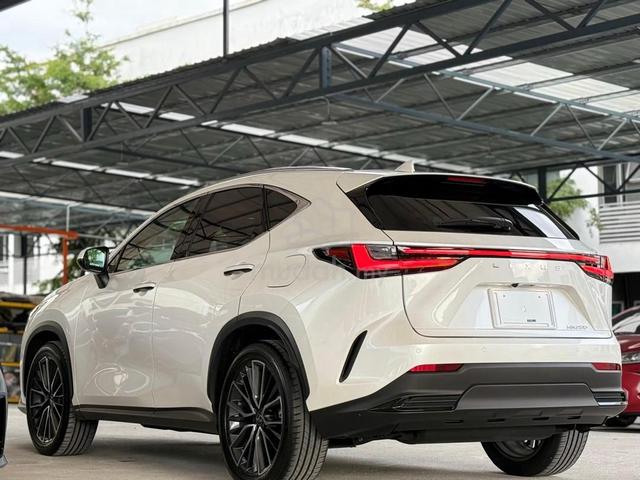 2022 Lexus NX250 2.5 LUXURY 8k km Mileage 5A - 2
