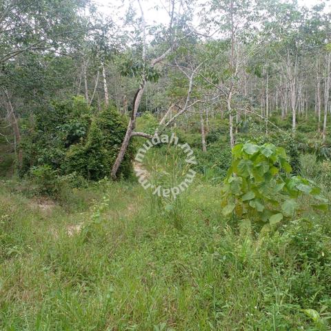 Freehold Agriculture Land For Sale At Kepis,Bahau,Kuala Pilah,N.S 3