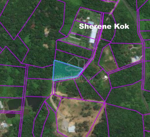Agricultural Land Jalan Batu Kawa-Bau Moyan Pei Yuan 3