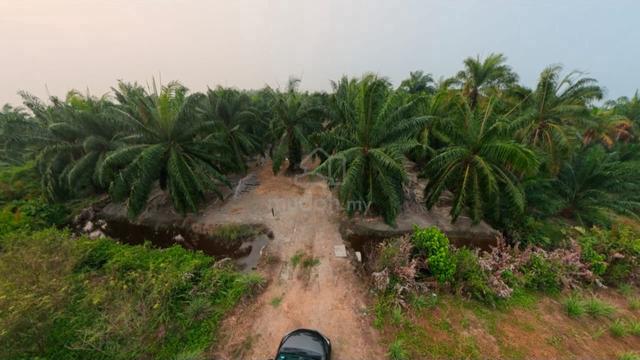 Tanah kebun sawit luas 1 ekar non bumi Api-Api , Kuala Selangor 1