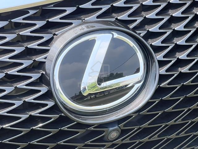 2018 Lexus RX300 2.0 F SPORT FACELIFT (A) - 3