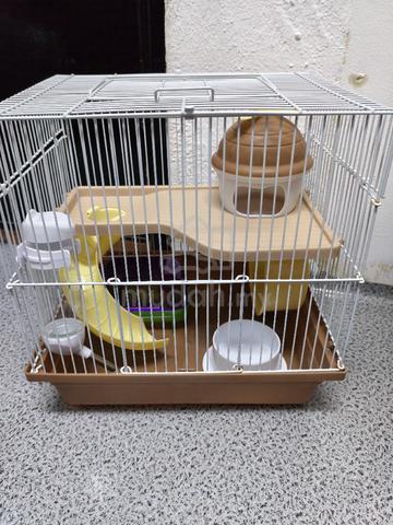 hamster cage - photo 3 of 4
