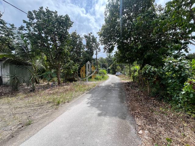 Tanah murah di Kg Pulau Manis Serada 1