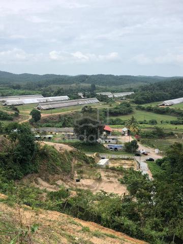 Tanah Dusun Durian Tepi Jalan Utama Ayer Paabas 1
