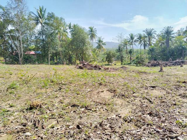 Tapak rumah Kg Bakong Parit panjang Geran 1nama 300 meter direct owner 5