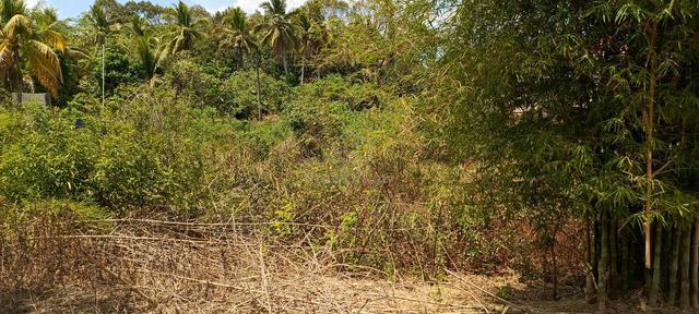 Tanah Lot untuk dijual. Area Peringat 1