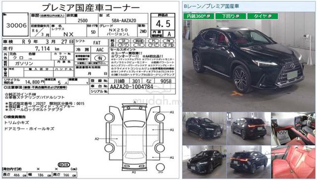 2024 Lexus NX250 2.5 VL SUNROOF 360 CAM - 3