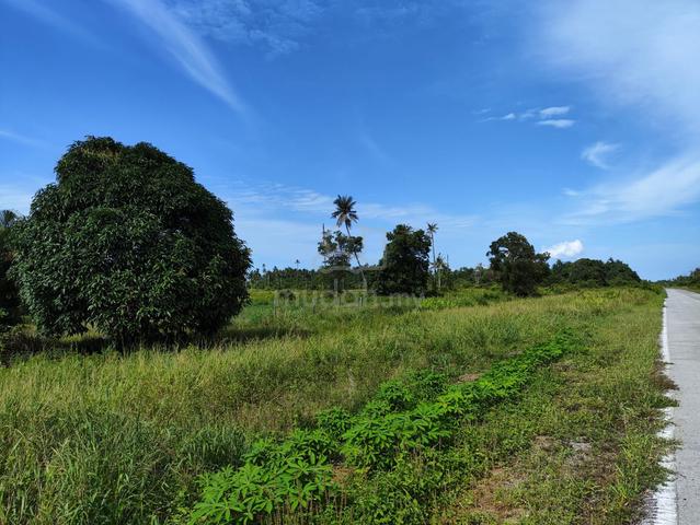 1st Lot Trombol Land Opposite Golden Beach Trombol For Sale 2