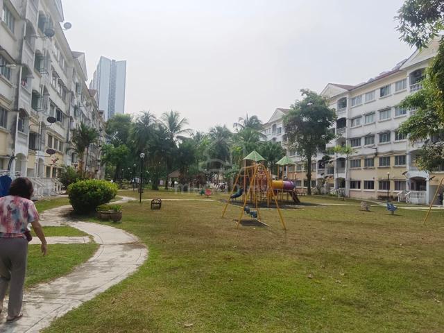 Sri Cassia 1