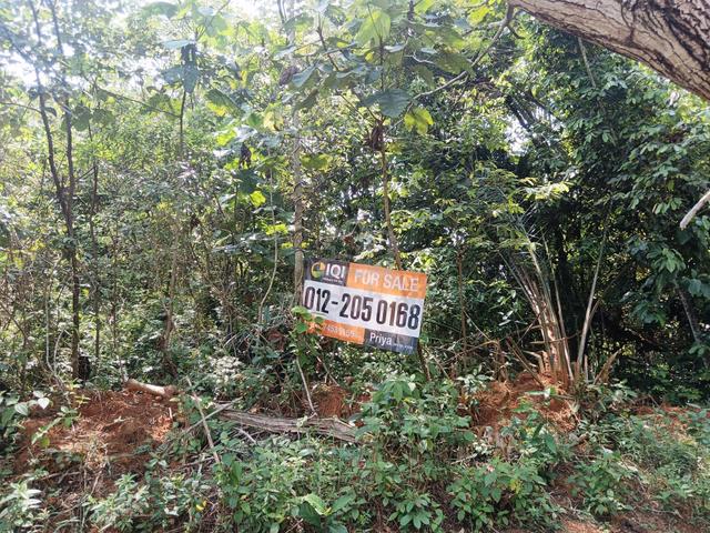 Bungalow Land at Jalan Ros 3, Bukit Beruntung Golf  & Country Resort 1