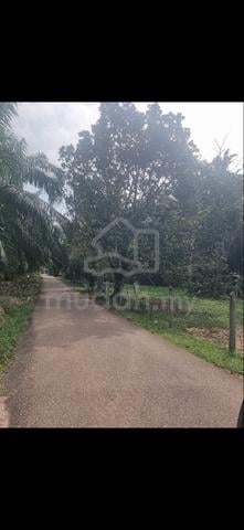 TANAH SAWIT UNTUK DIJUAL DI AREA GURUN(Batu 3) 1
