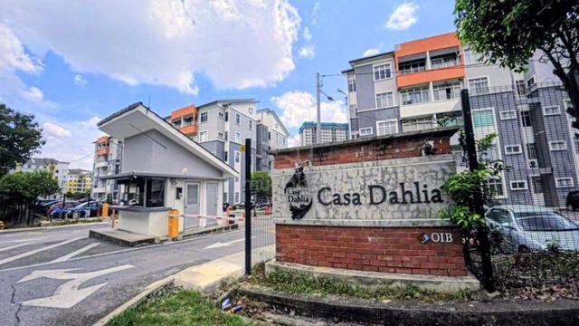 Casa Dahlia 1