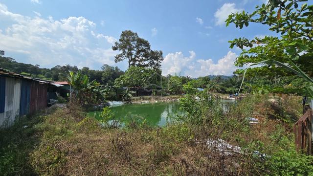 Agricutlure Land Hulu Langat Selangor (Q5144) 1