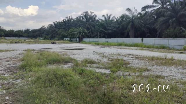 Agriculture Land Jalan Akasia off Jalan Sungai Rambai  Jenjarom 2
