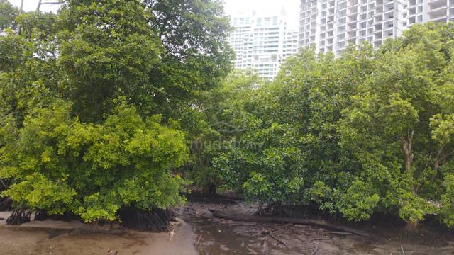 8.6 acres Residential Development Land Seaside,Jalan Permas,Senibong 1