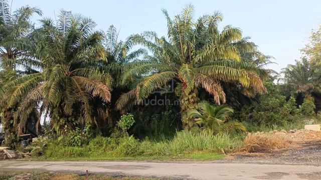 Tanah Kampung Sri Paya 1