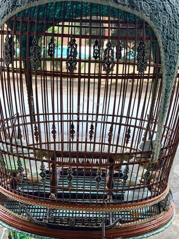 Carousel Image