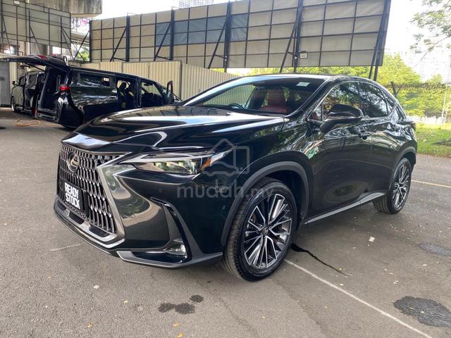 2024 Lexus NX250 2.5 VL SUNROOF 360 CAM - 5