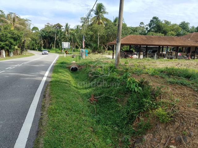 Tanah tepi jalan besar ramuan china kecil 1