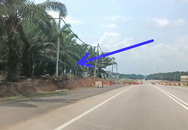 10 Ekar Tanah Pokok Sawit Jalan Utama Batu Anam-Segamat Johor 1