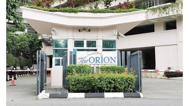 The Orion 1