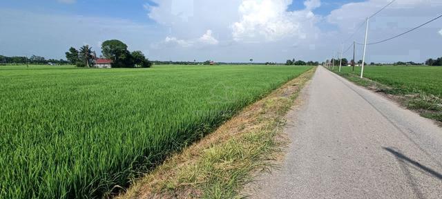 Tanah Sawah 1 Ekar Tepi Jalan Paling Cantik Di Sungai Besar 1