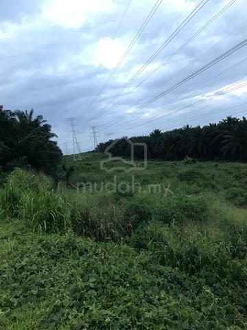 TANAH Tepi Hyway / FreeHold 1123ACRE Untuk Pembangunan 2