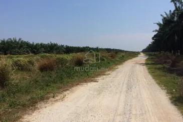9.8 Acres Agri Land, Banting, Olak Lempit, Can Convert to Industry 5