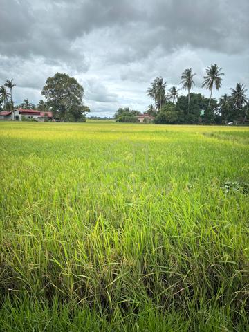Tanah Belakang Hospital Bahiyah 1