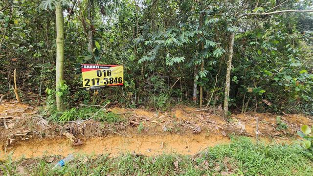 Tanah Pertanian Sg Plong Kuang Sungai Buluh 1